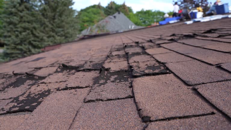 Emergency Roof Repair in Sam Rayburn, TX