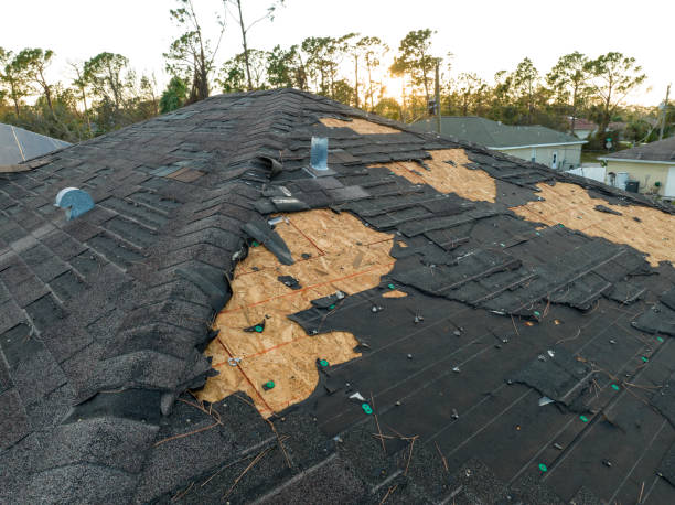 Trusted Sam Rayburn, TX Roofing Service Experts