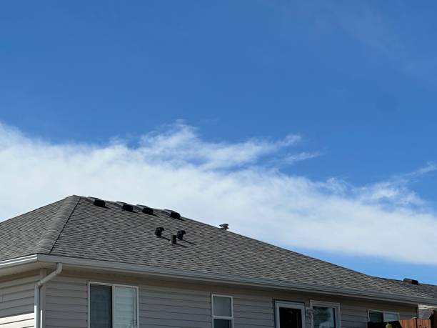 Best 4 Ply Roofing  in Sam Rayburn, TX